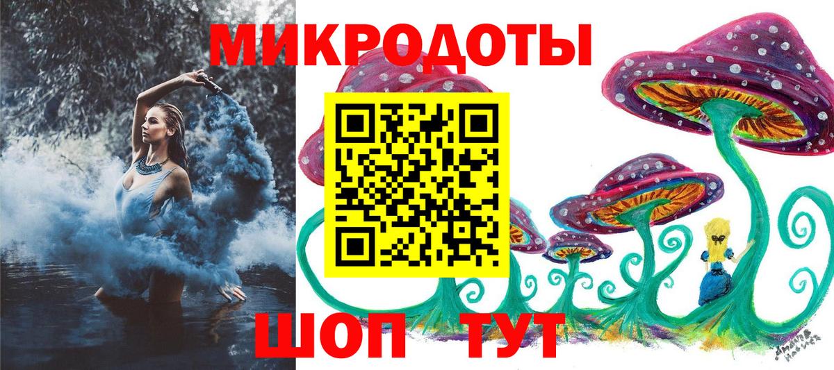Псилоцибиновые грибы GOLDEN TEACHER Елец