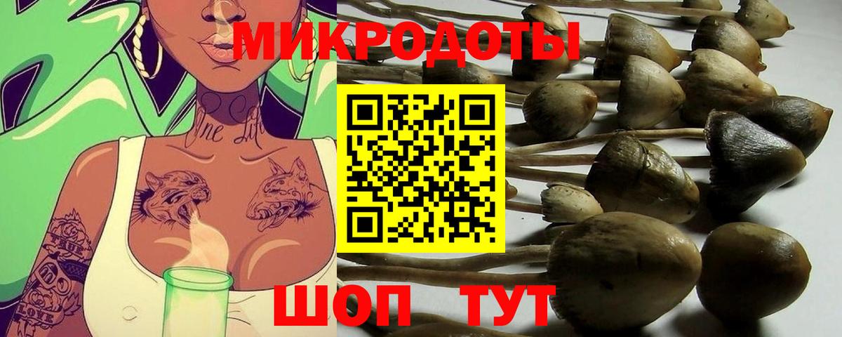 Елец  Галлюциногенные грибы Psilocybe  Вход с VPN 